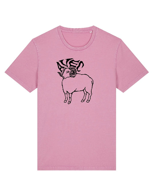 AVEC - Sheep Shirt (rosa)