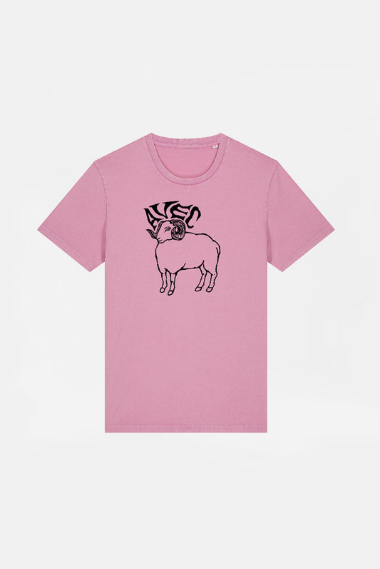 AVEC - Sheep Shirt (rosa)