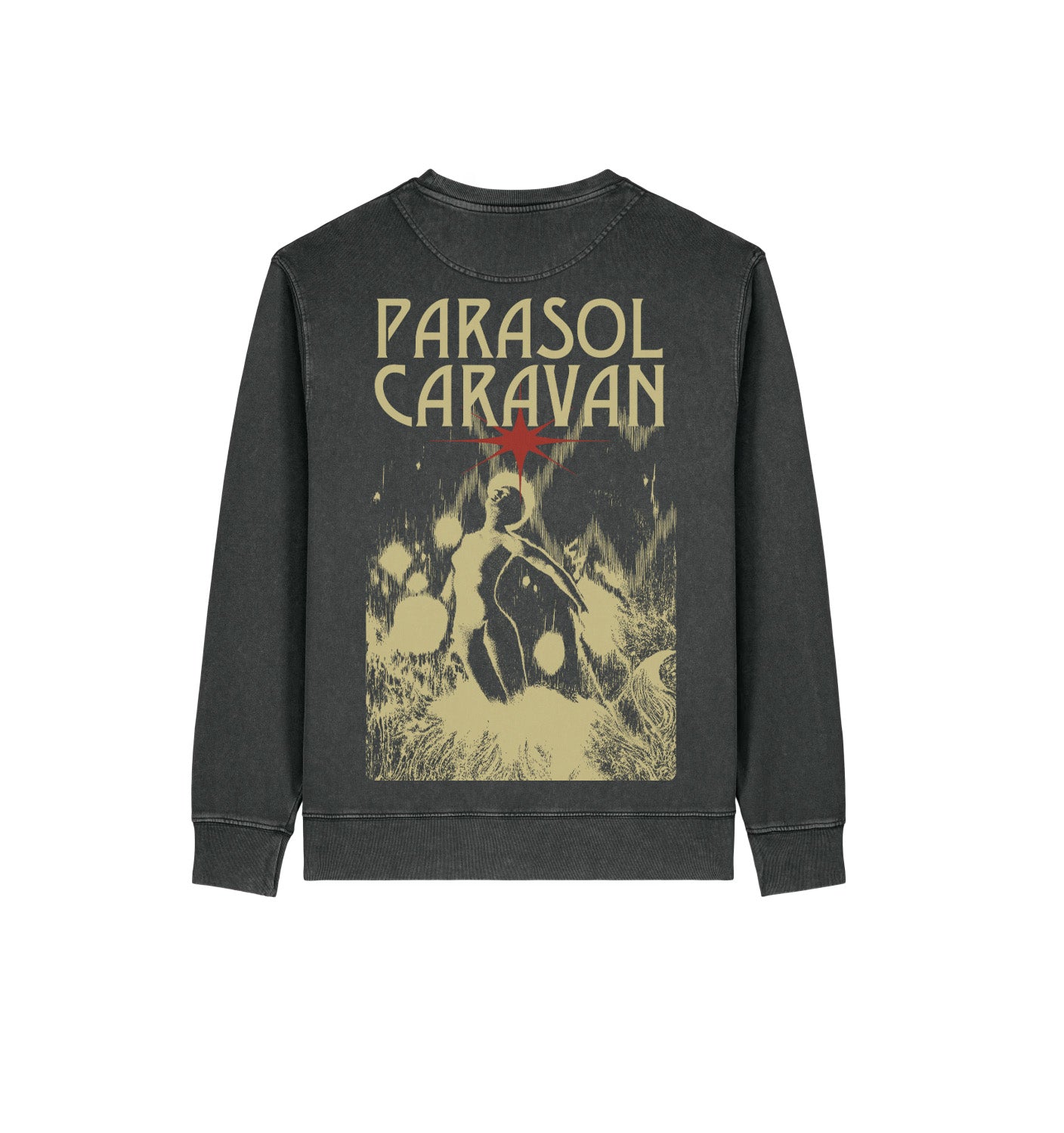 Parasol Caravan - Sweater - back from space